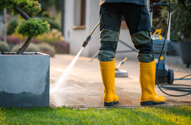 Best Power Washing Near Me  in Wahneta, FL